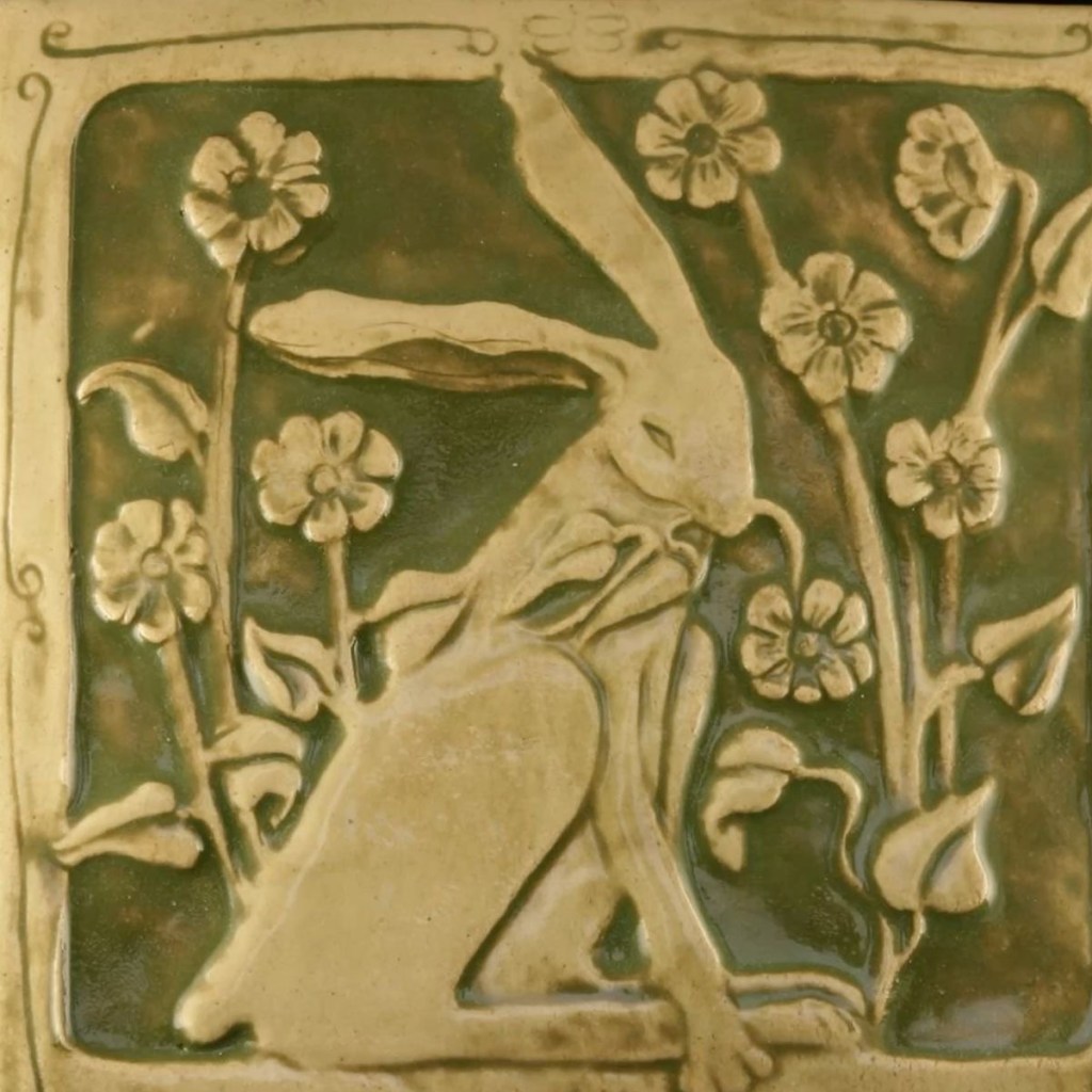 Biodiversity, Ecology, and Why it&nbsp;Matters.