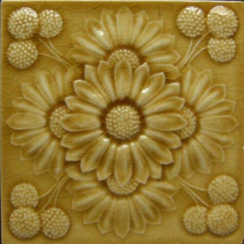 Photosynthesis and Cellular&nbsp;Respiration